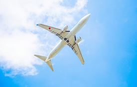 オンライン専用商品イメージ2